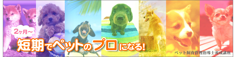 ��ʌ��Ńy�b�g�V�b�^�[�̎��i���Ƃ�I��ʌ��Ńy�b�g�V�b�^�[�̂��d��������I