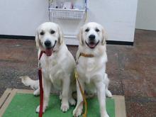 �����{�ƃG���c�H