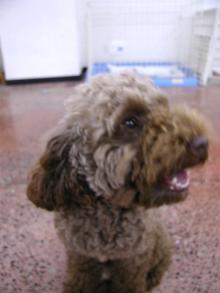 ���摜�@���C�g