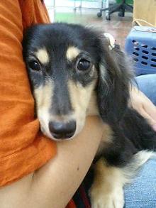 ���摜�@�N�b�L�[