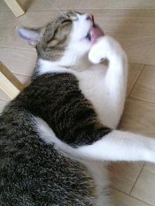 �L�摜�@�Ƃ������