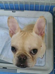 ���摜�@�A��