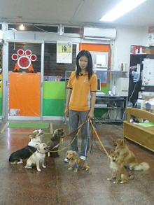 ���摜�@�݂�Ȃł��U��2