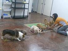 ���摜�@���͂�悵