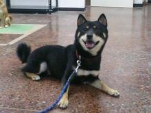 ���摜�@����