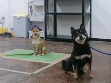 ���摜�@���ۂƏ����Y