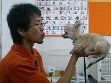 ���摜�@�K�u���b�V��1