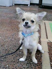 ���摜�@�K�u���b�V��2