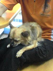 ���摜�@�R�E�^�̒��Q