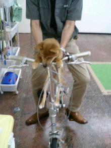 ���摜�@�����Y1