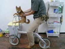 ���摜�@�����Y2