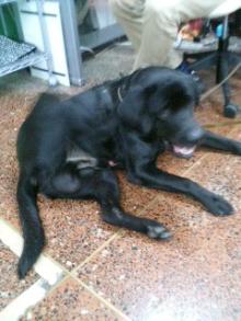 ���摜�@�N��1