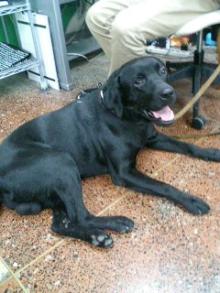 ���摜�@�N��2