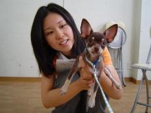 ���摜�@����1