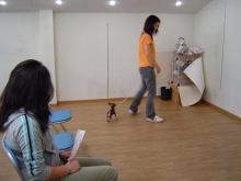 ���摜�@����2