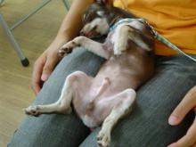 ���摜�@����6